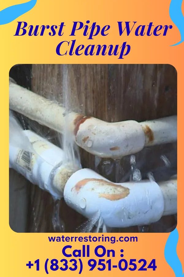 Burst Pipe Water Cleanup in Milan, IN