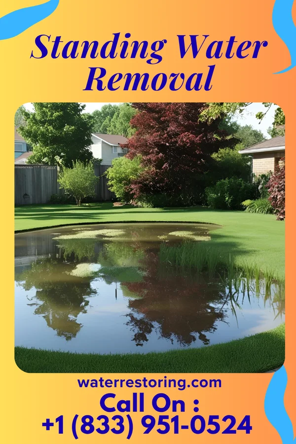 Standing Water Removal in Milan, IN
